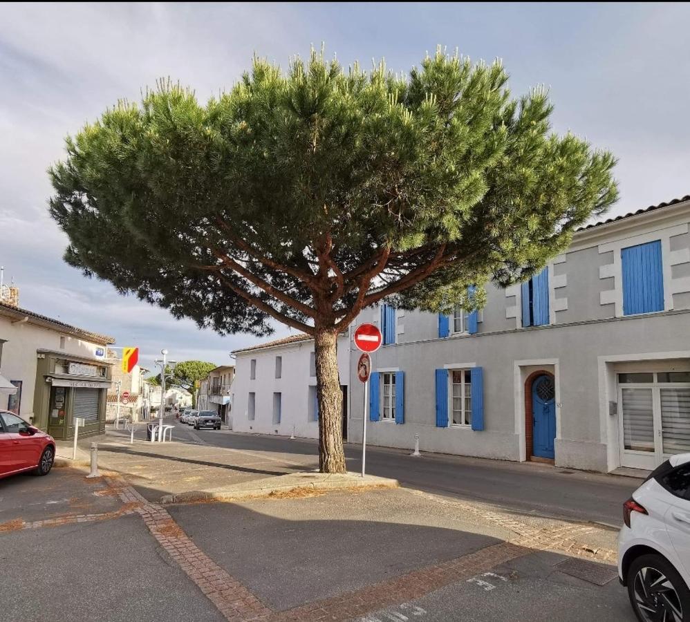 Charmant Appartement Dans Centre Meschers/Gironde Εξωτερικό φωτογραφία